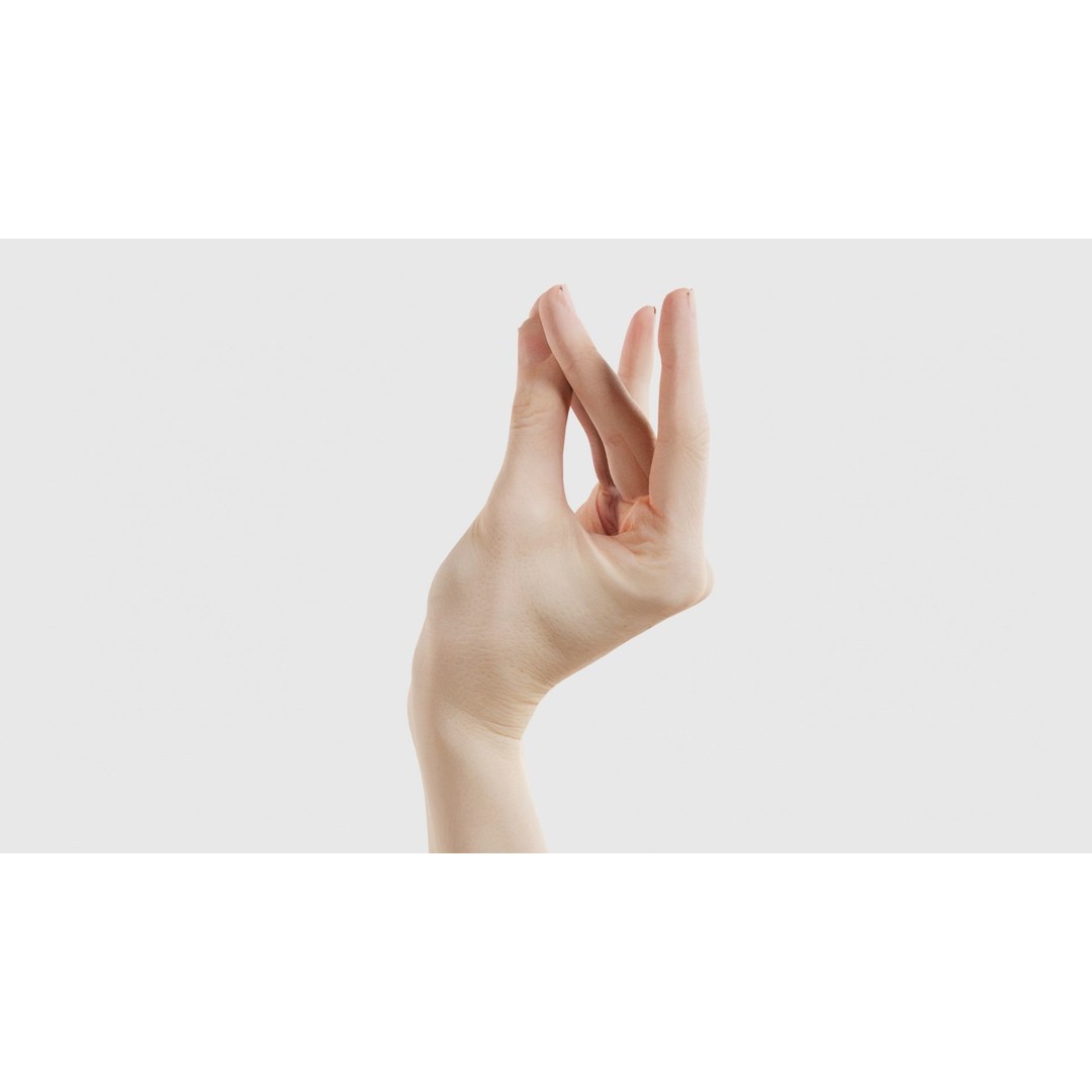 Single Hand 3D Model – Low Poly Character with PBR Textures - View 18