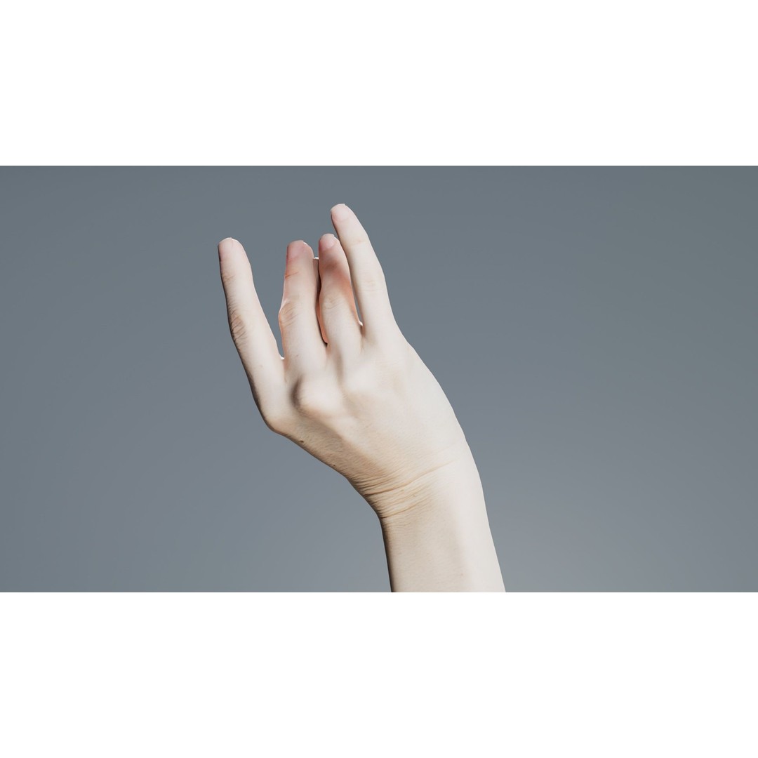 Single Hand 3D Model – Low Poly Character with PBR Textures - View 8