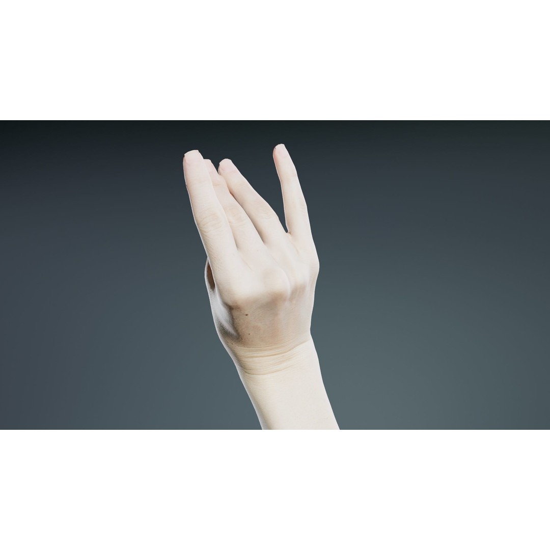 Single Hand 3D Model – Low Poly Character with PBR Textures - View 9
