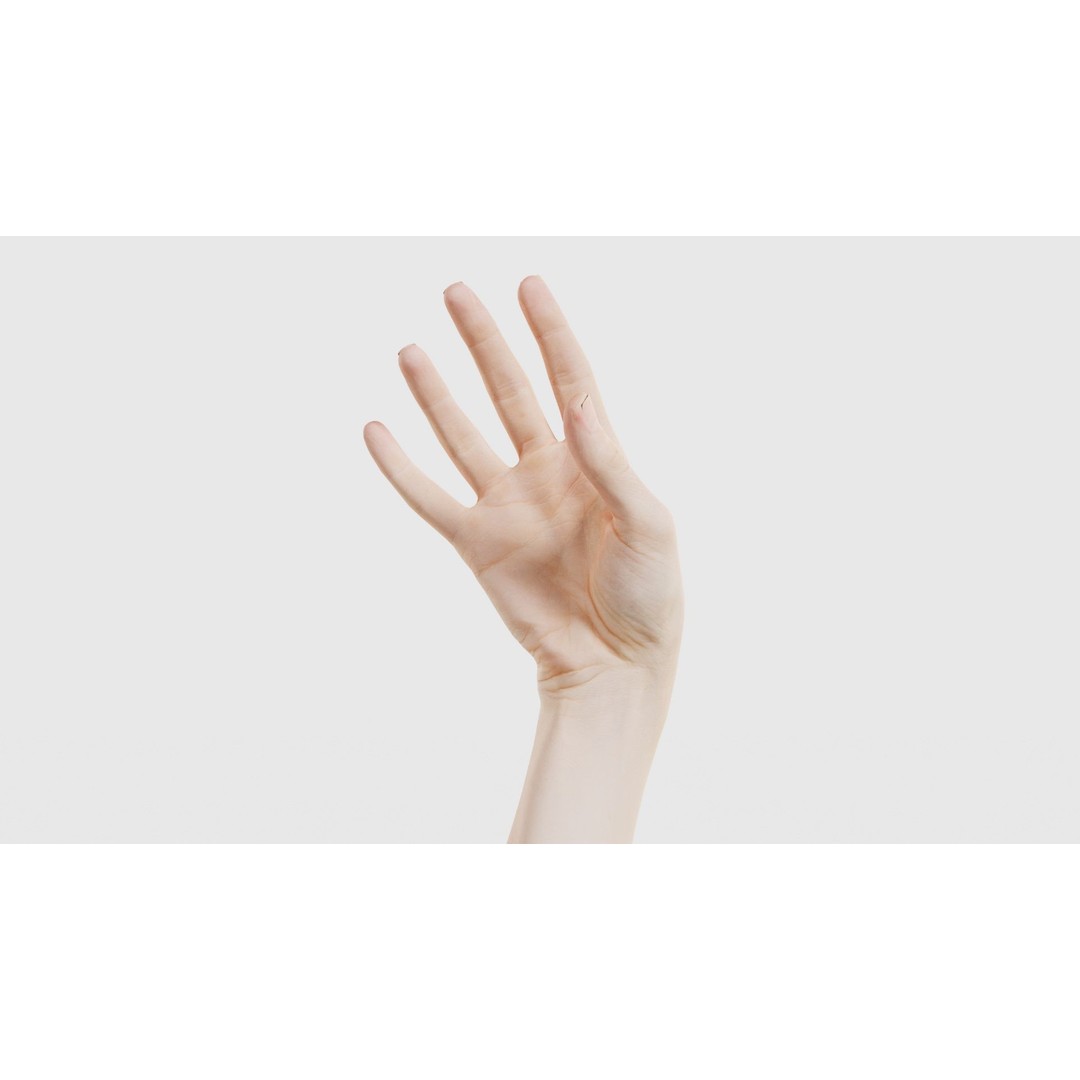 Single Hand 3D Model – Low Poly Photogrammetry Asset, FBX, Blender