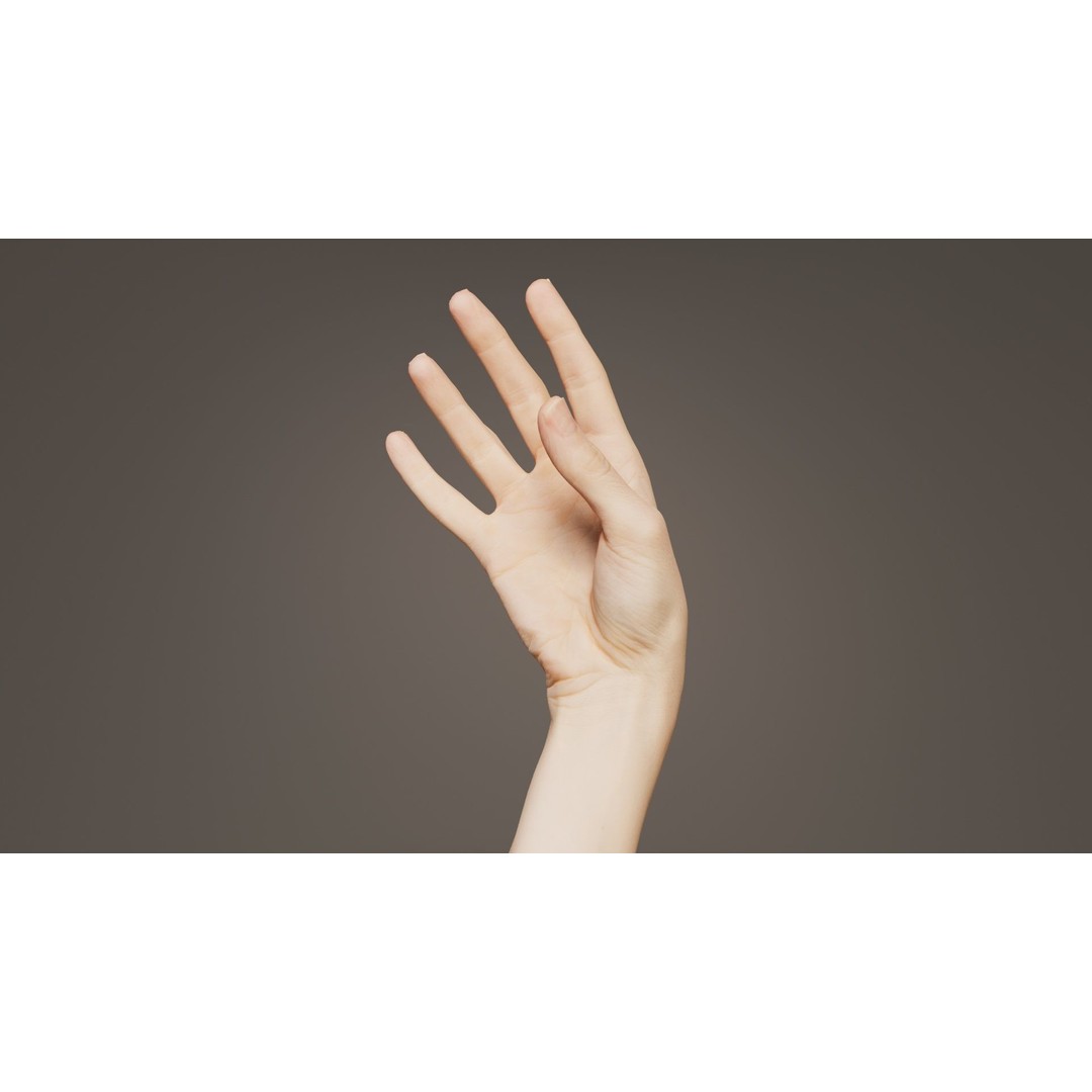 Single Hand 3D Model – Low Poly Photogrammetry Asset, FBX, Blender - View 10