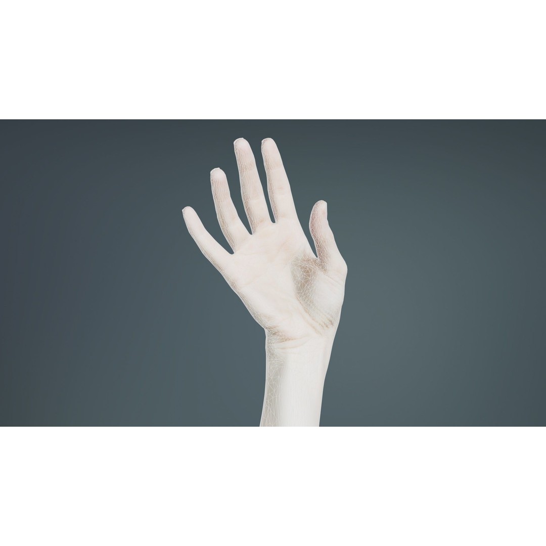 Single Hand 3D Model – Low Poly Photogrammetry Asset, FBX, Blender - View 11