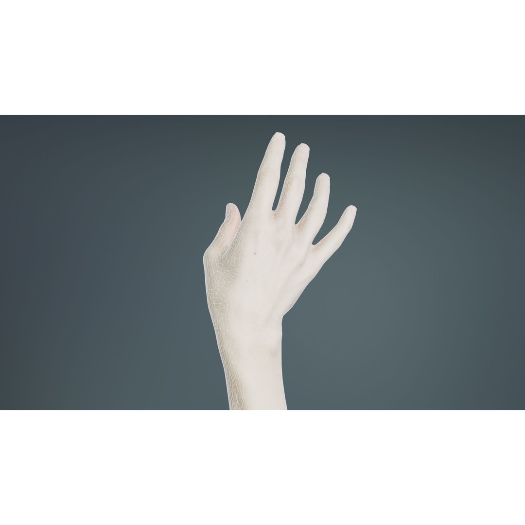 Single Hand 3D Model – Low Poly Photogrammetry Asset, FBX, Blender - View 12