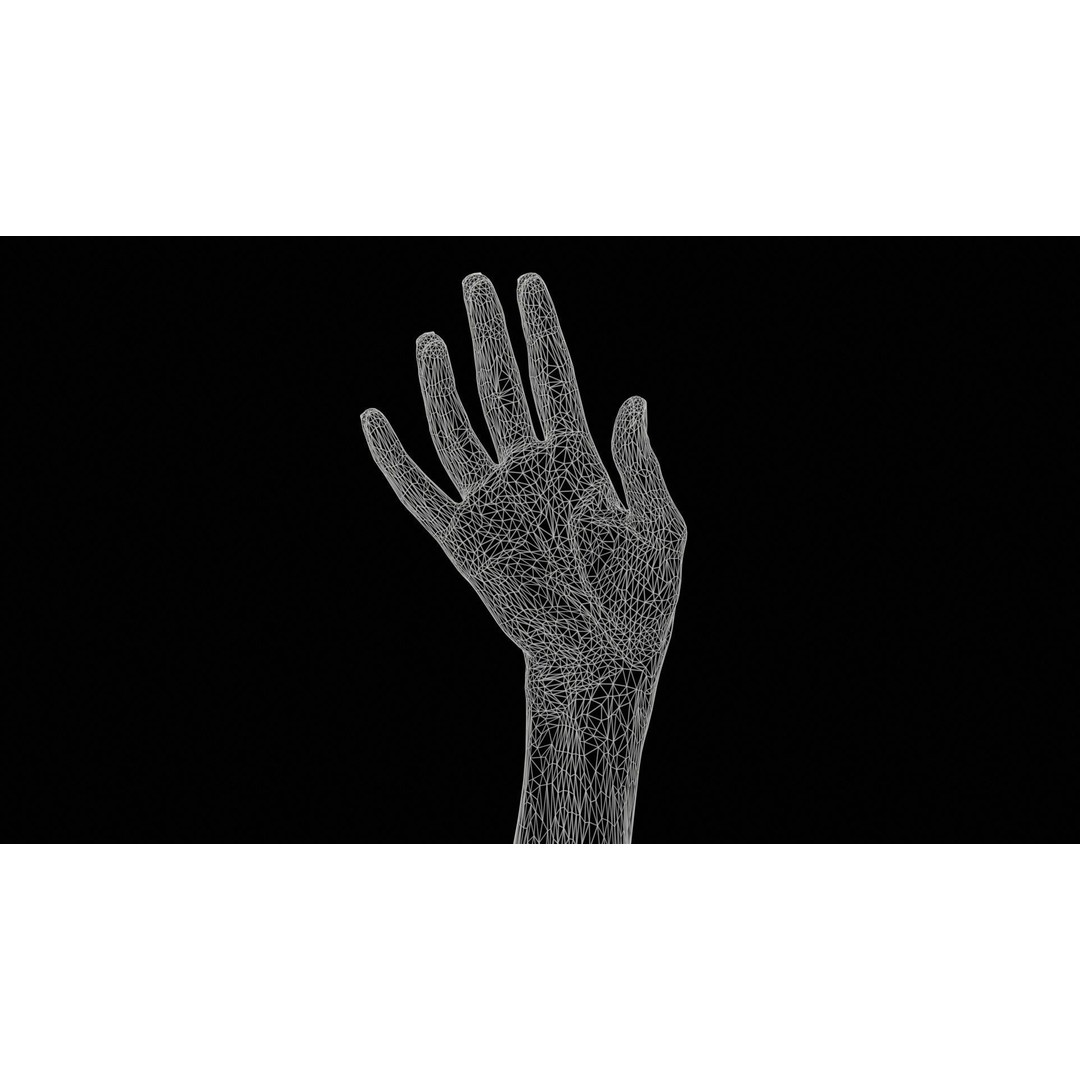 Single Hand 3D Model – Low Poly Photogrammetry Asset, FBX, Blender - View 13