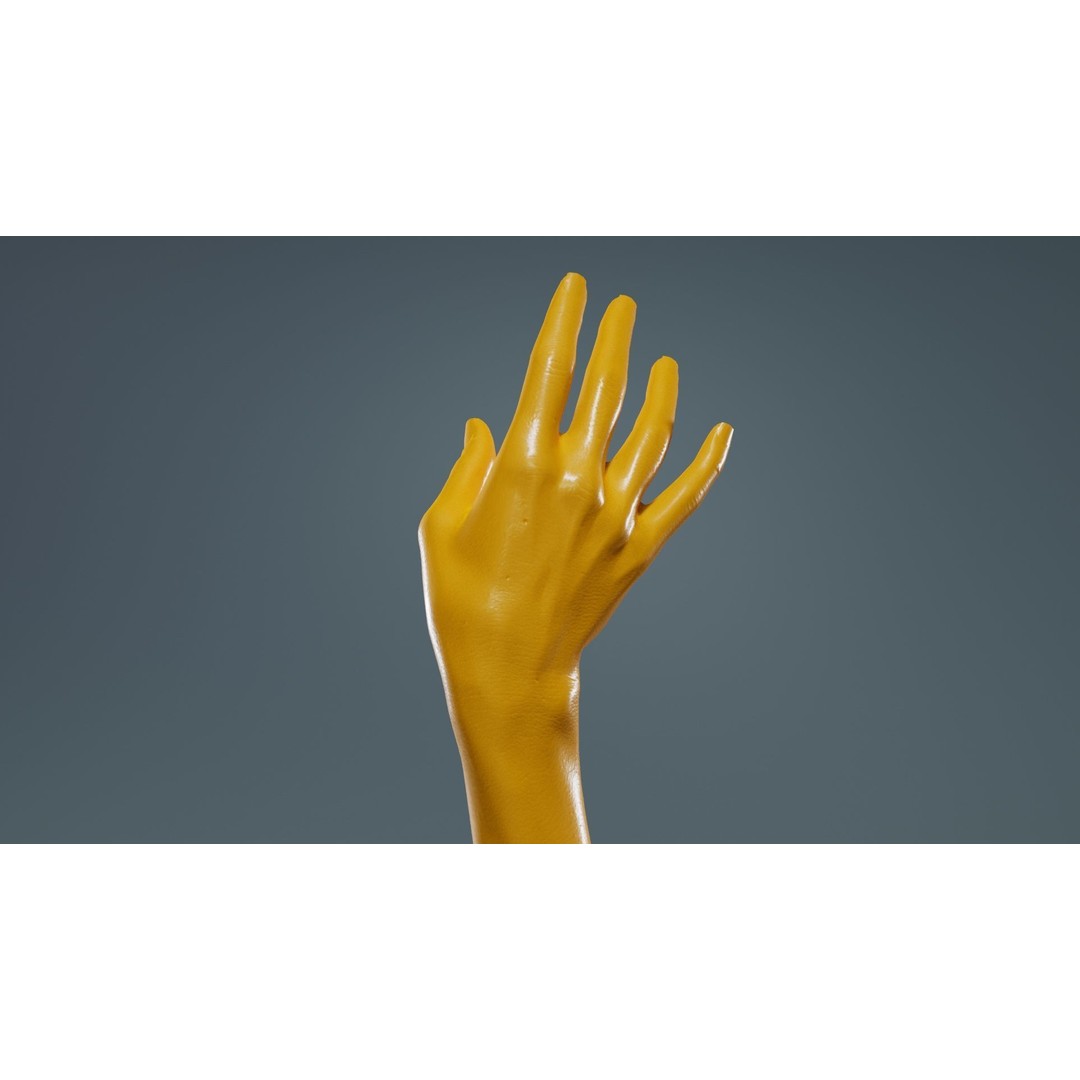 Single Hand 3D Model – Low Poly Photogrammetry Asset, FBX, Blender - View 15