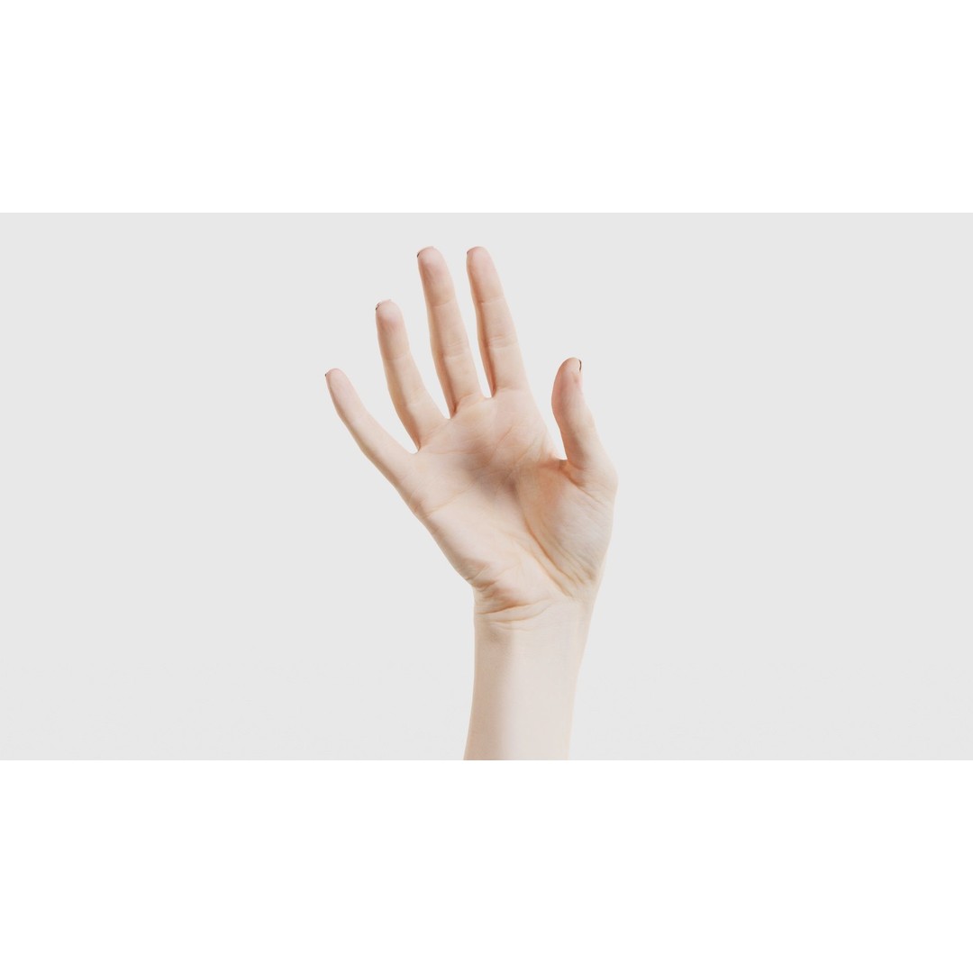 Single Hand 3D Model – Low Poly Photogrammetry Asset, FBX, Blender - View 17