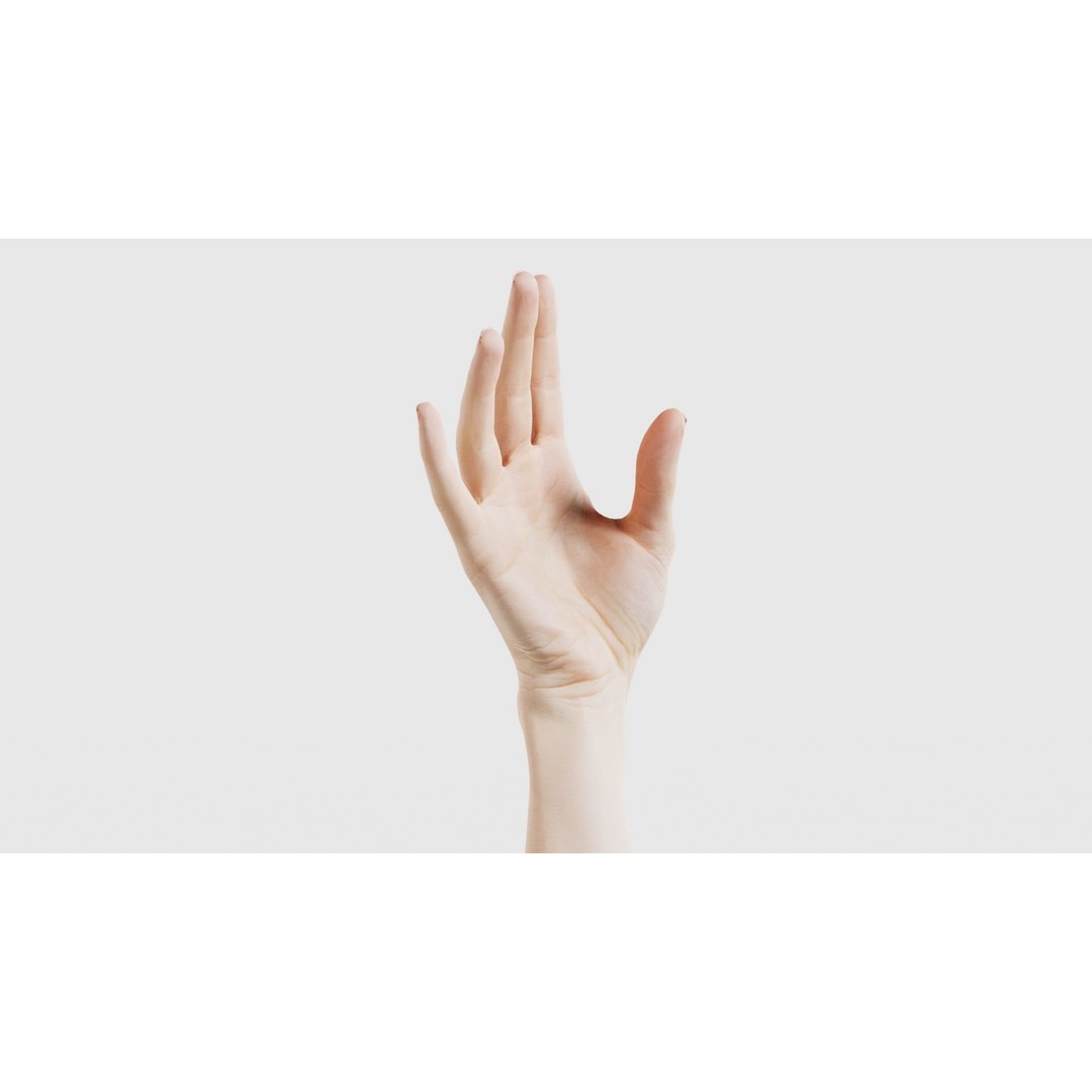 Single Hand 3D Model – Low Poly Photogrammetry Asset, FBX, Blender - View 18
