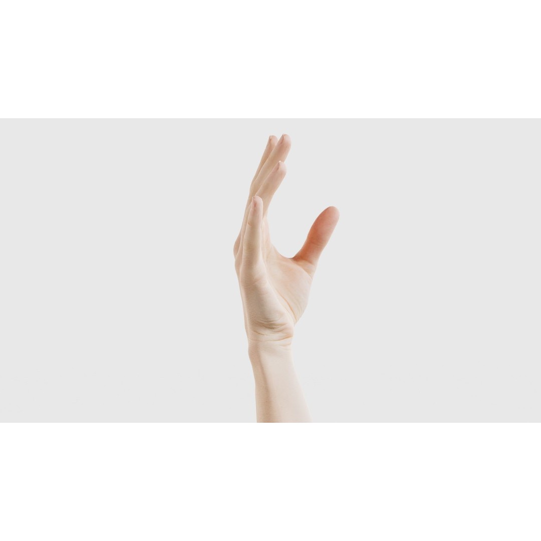 Single Hand 3D Model – Low Poly Photogrammetry Asset, FBX, Blender - View 19