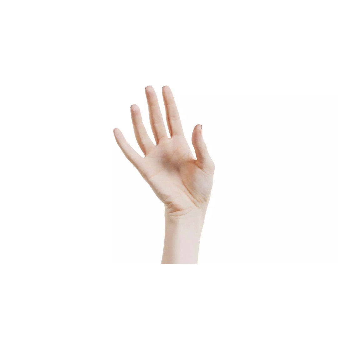 Single Hand 3D Model – Low Poly Photogrammetry Asset, FBX, Blender - View 2