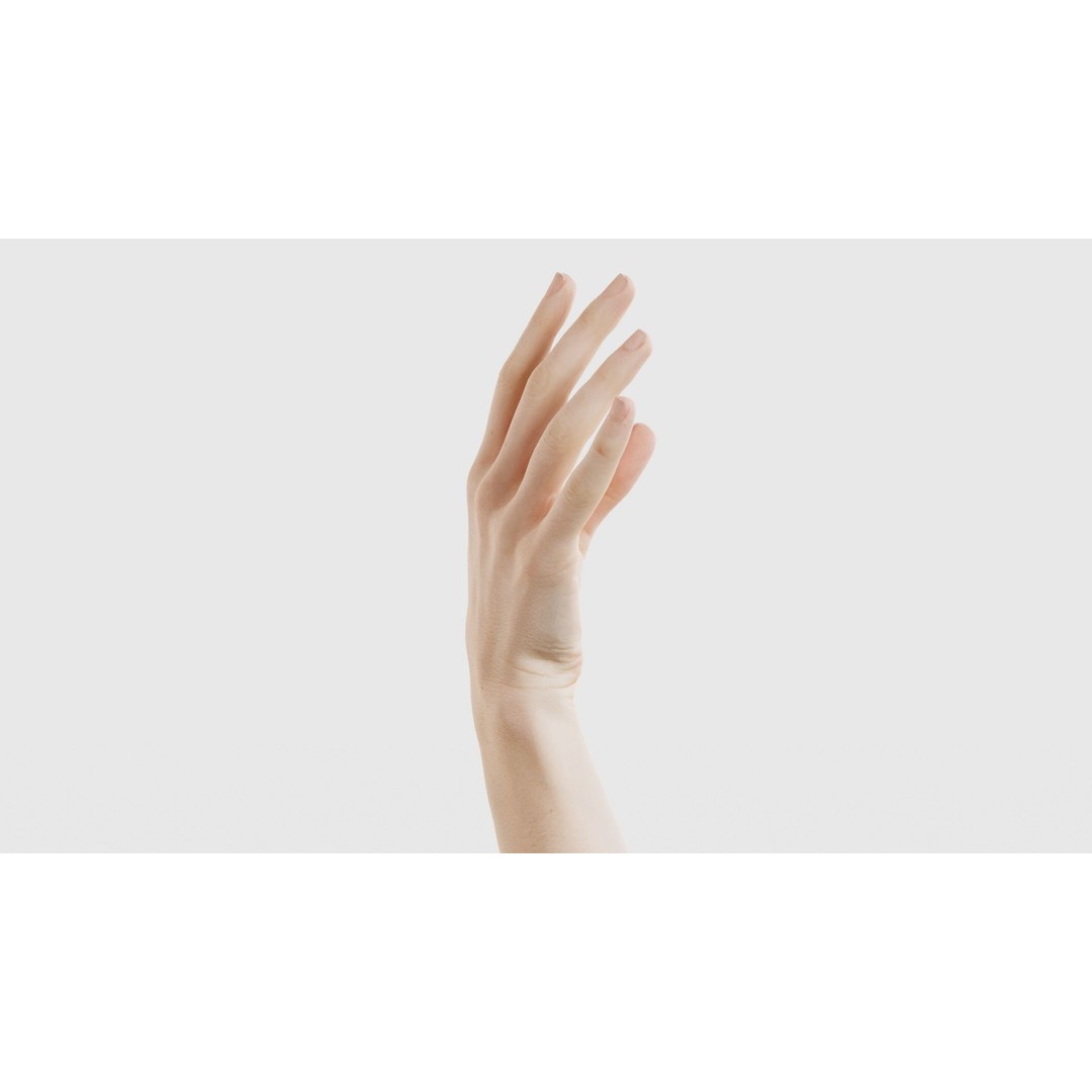 Single Hand 3D Model – Low Poly Photogrammetry Asset, FBX, Blender - View 20