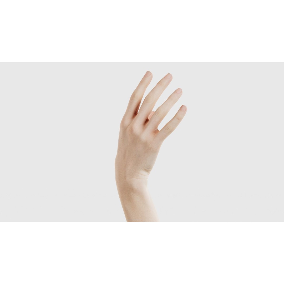 Single Hand 3D Model – Low Poly Photogrammetry Asset, FBX, Blender - View 21