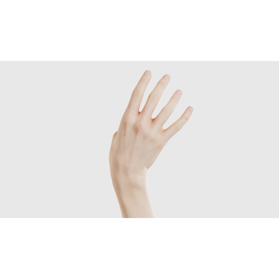 Single Hand 3D Model – Low Poly Photogrammetry Asset, FBX, Blender - View 22