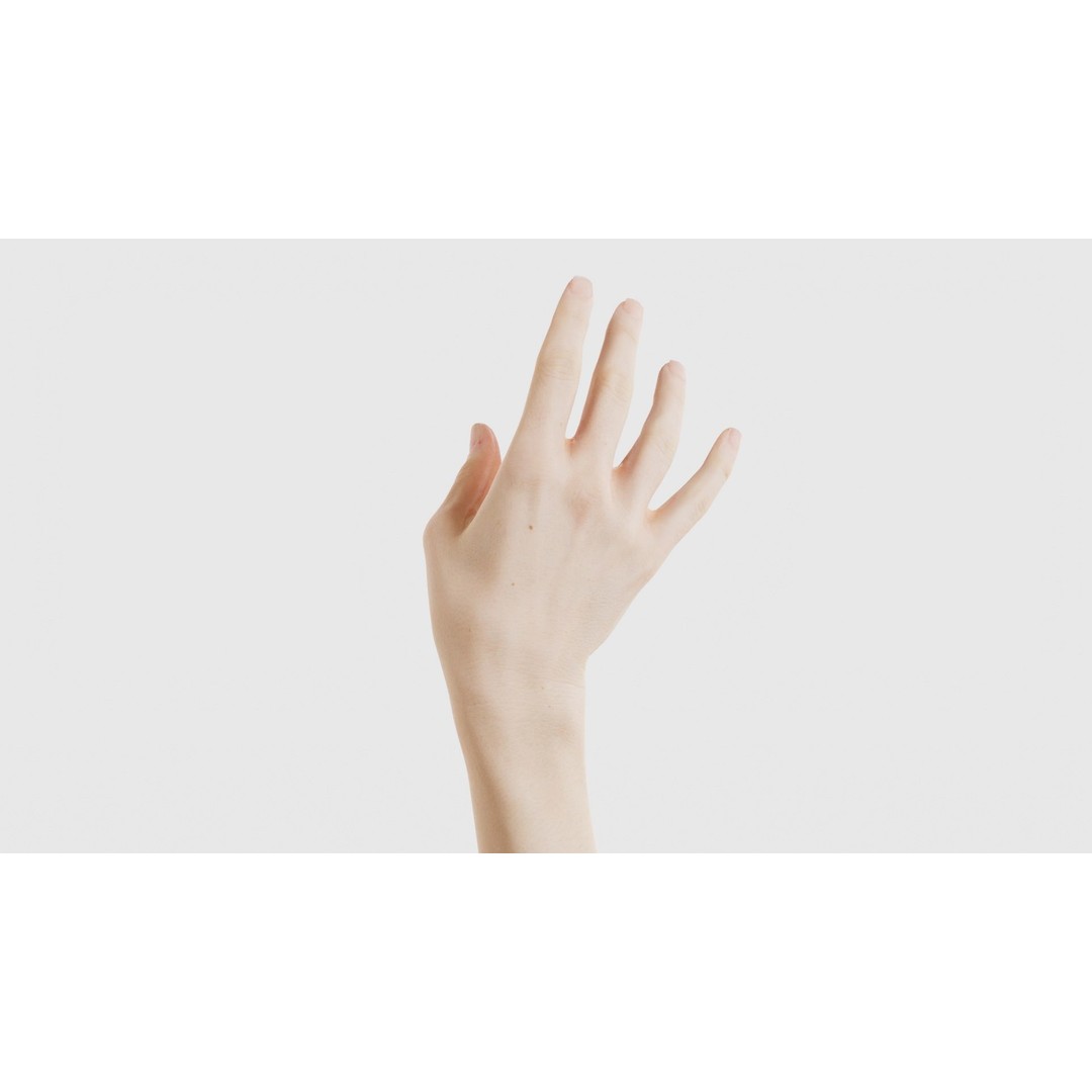 Single Hand 3D Model – Low Poly Photogrammetry Asset, FBX, Blender - View 23