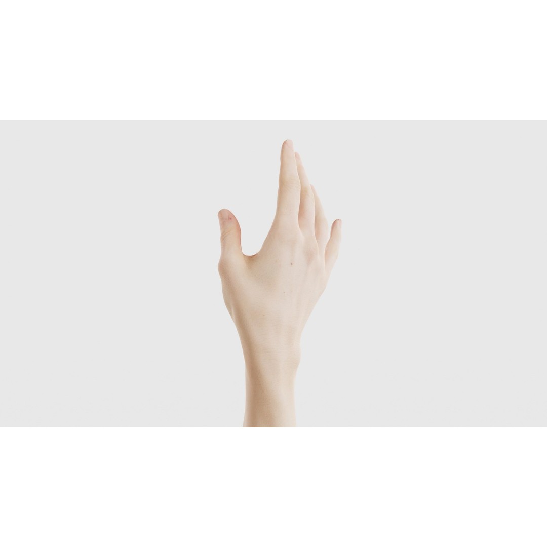 Single Hand 3D Model – Low Poly Photogrammetry Asset, FBX, Blender - View 24