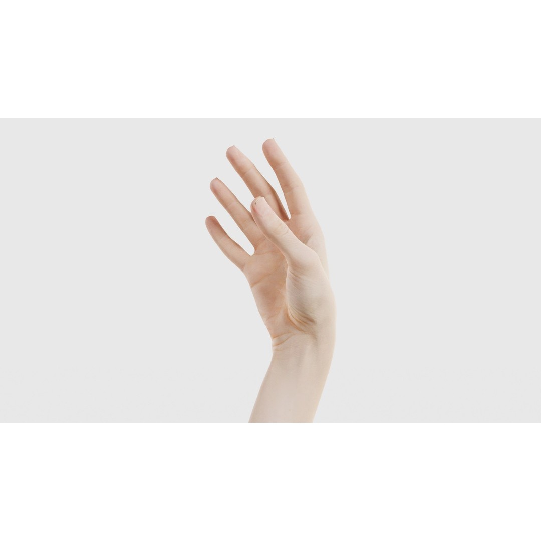Single Hand 3D Model – Low Poly Photogrammetry Asset, FBX, Blender - View 27