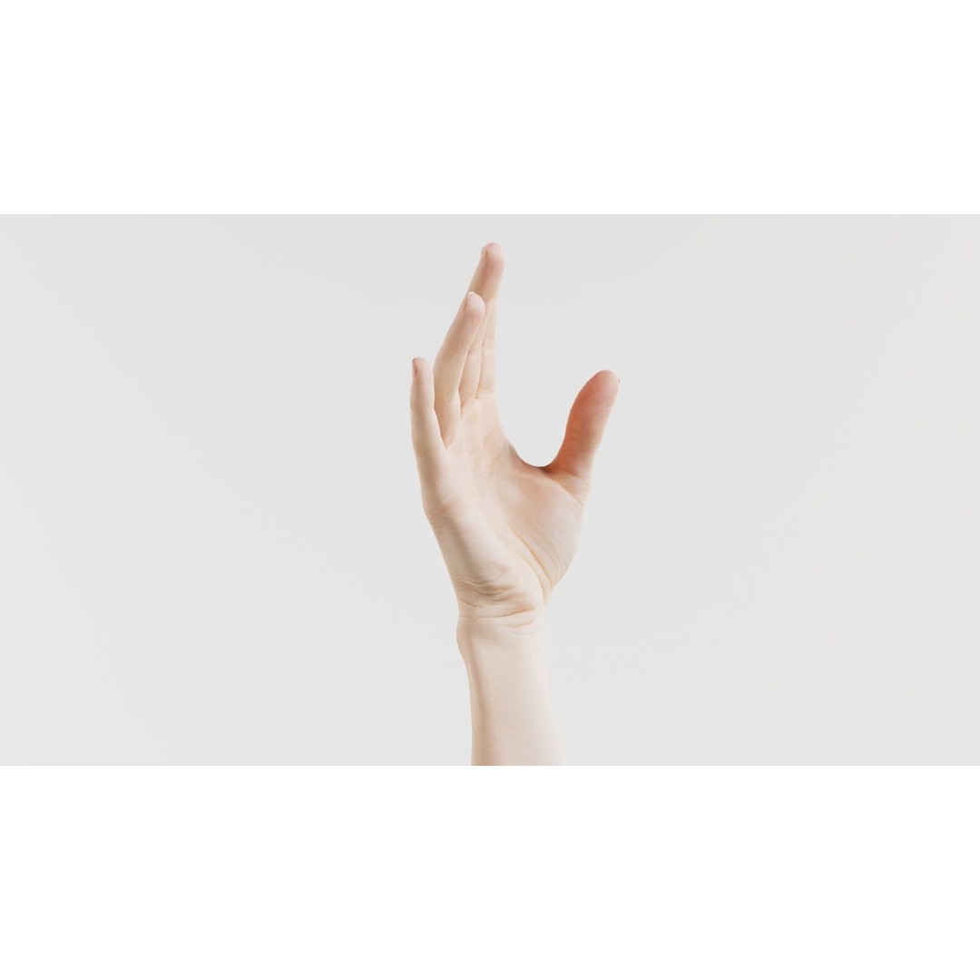 Single Hand 3D Model – Low Poly Photogrammetry Asset, FBX, Blender - View 3