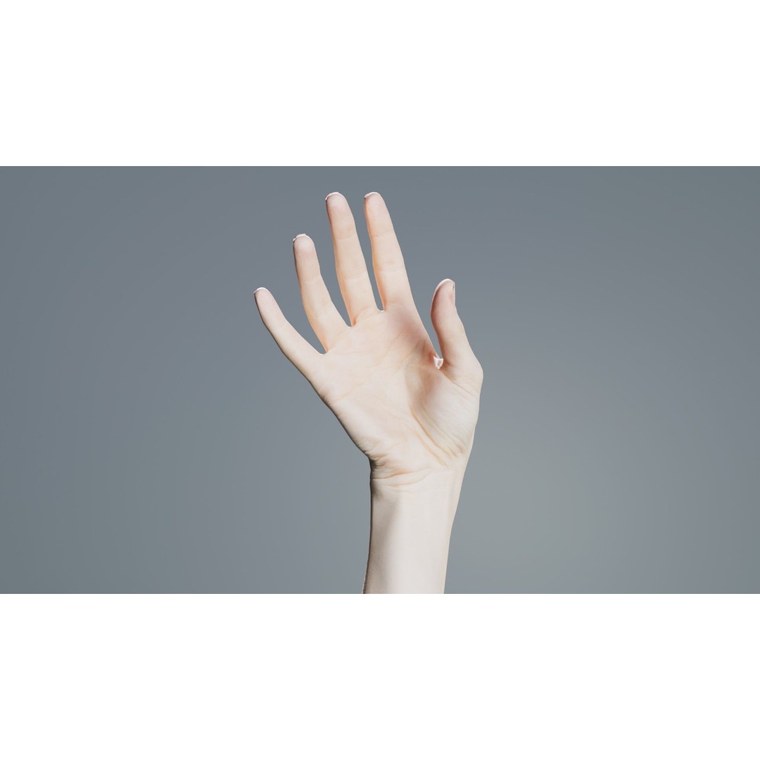 Single Hand 3D Model – Low Poly Photogrammetry Asset, FBX, Blender - View 6