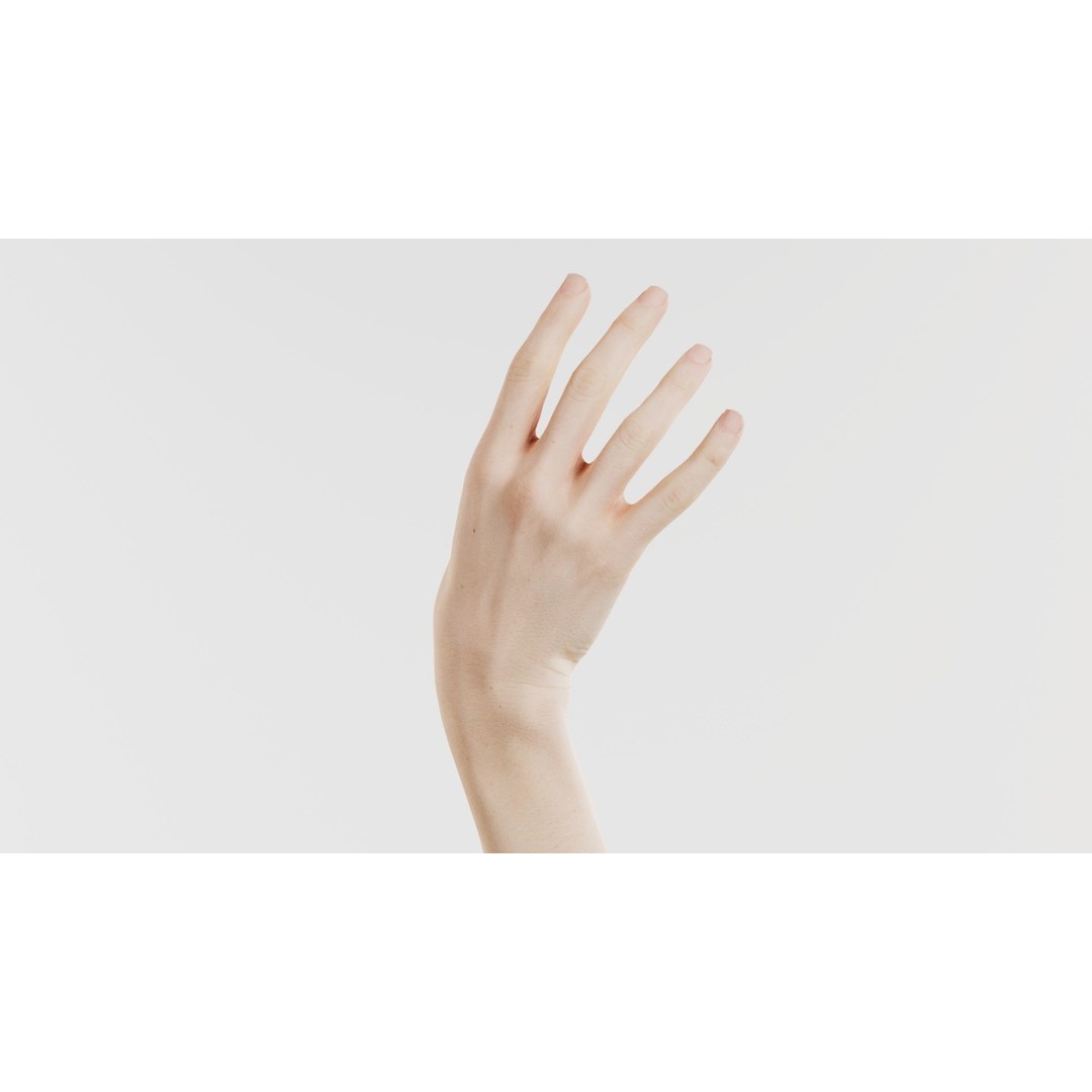 Single Hand 3D Model – Low Poly Photogrammetry Asset, FBX, Blender - View 8