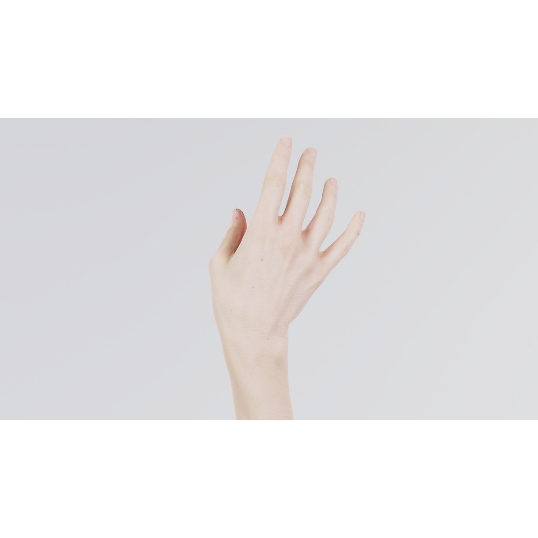 Single Hand 3D Model – Low Poly Photogrammetry Asset, FBX, Blender - View 9