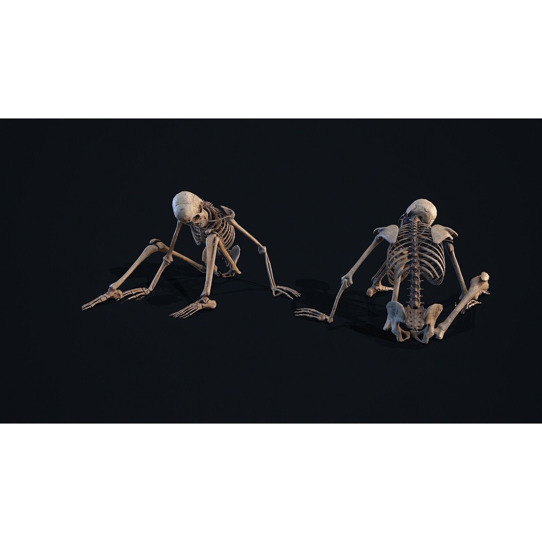 Skeleton Remains 2 3D Model – Low Poly PBR Asset, FBX & OBJ Formats - View 10