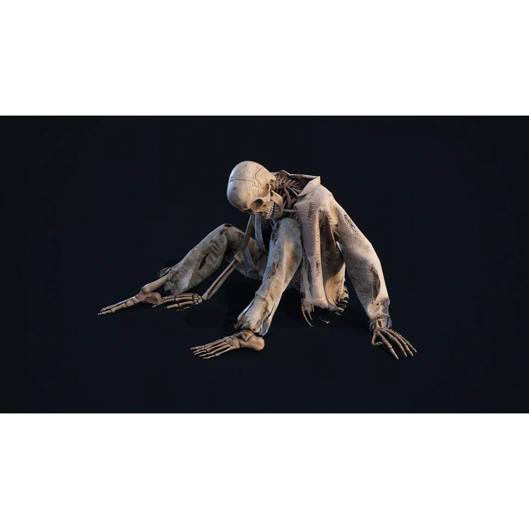 Skeleton Remains 2 3D Model – Low Poly PBR Asset, FBX & OBJ Formats - View 2
