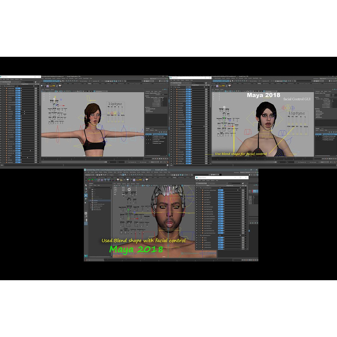 Male Female Base Mega Pack 3D Model – Low Poly Rigged Characters, FBX - View 24
