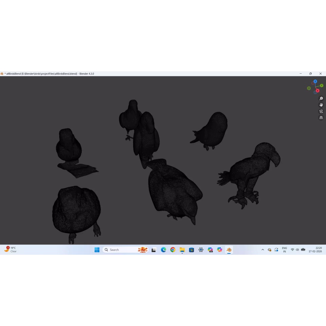 Avian Spectrum Pack 3D Model – High Poly PBR Bird Collection, FBX