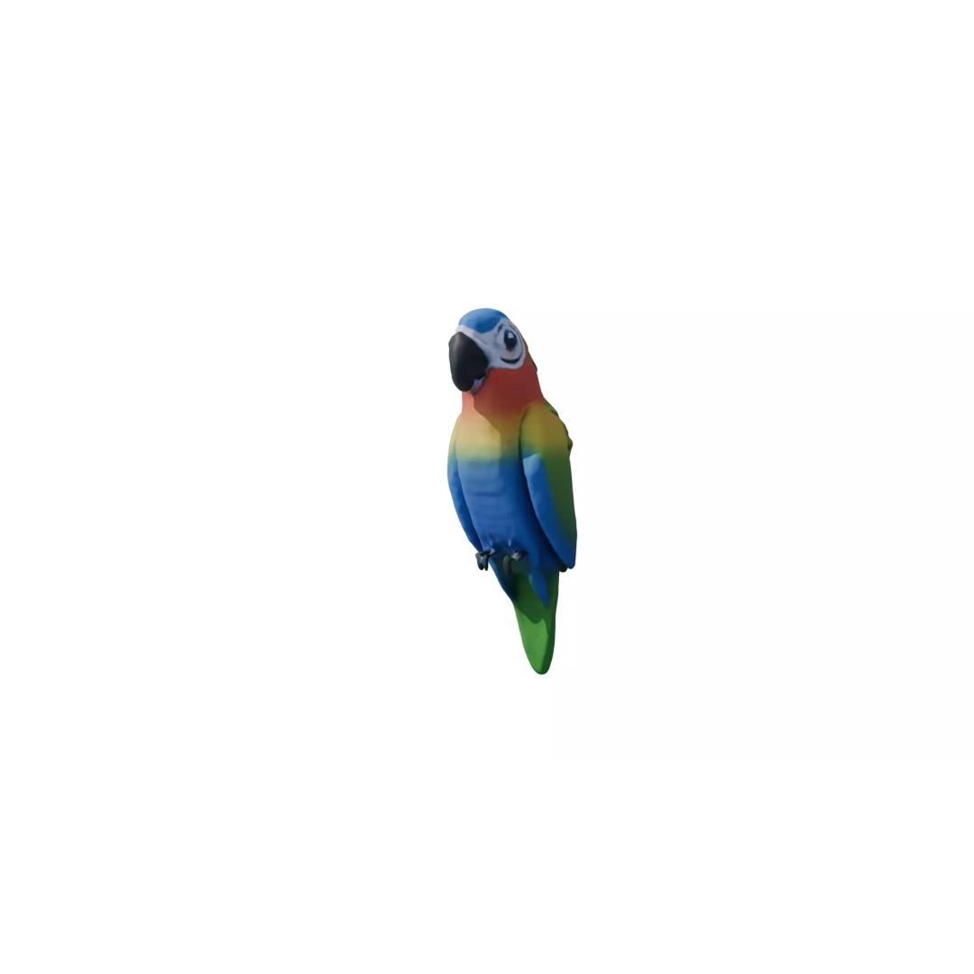Avian Spectrum Pack 3D Model – High Poly PBR Bird Collection, FBX - View 10