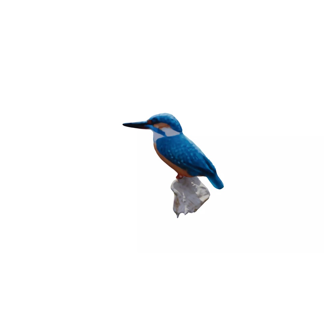 Avian Spectrum Pack 3D Model – High Poly PBR Bird Collection, FBX - View 12