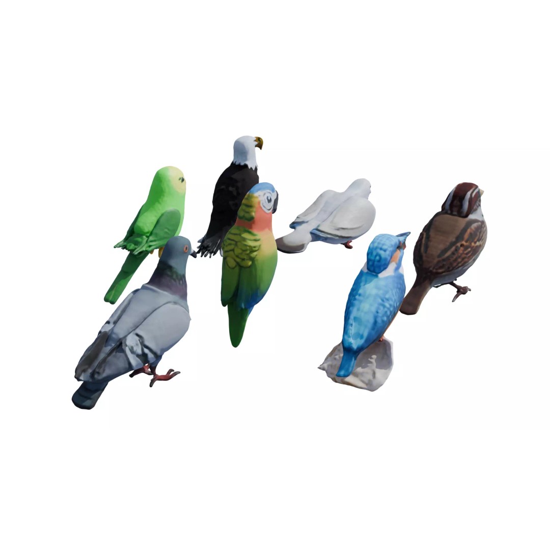 Avian Spectrum Pack 3D Model – High Poly PBR Bird Collection, FBX - View 14