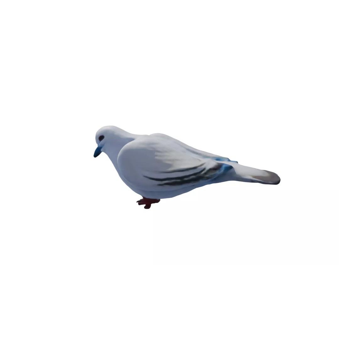 Avian Spectrum Pack 3D Model – High Poly PBR Bird Collection, FBX - View 15