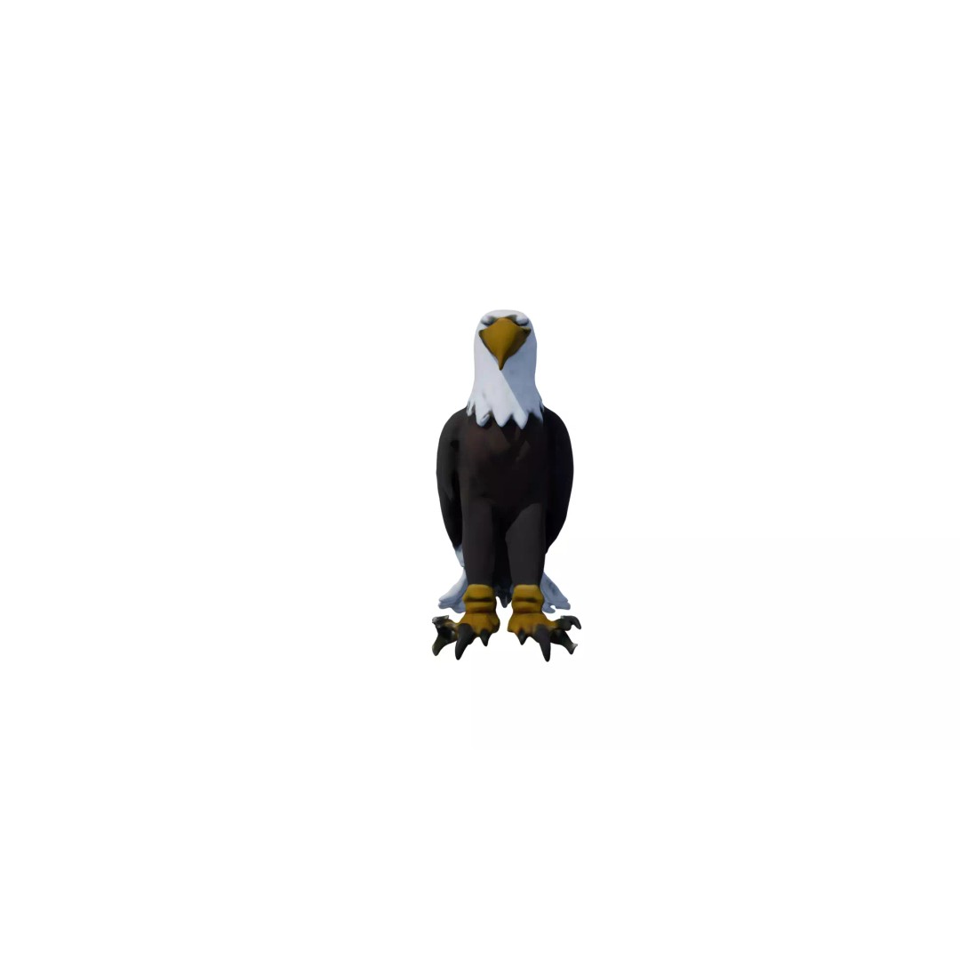 Avian Spectrum Pack 3D Model – High Poly PBR Bird Collection, FBX - View 19