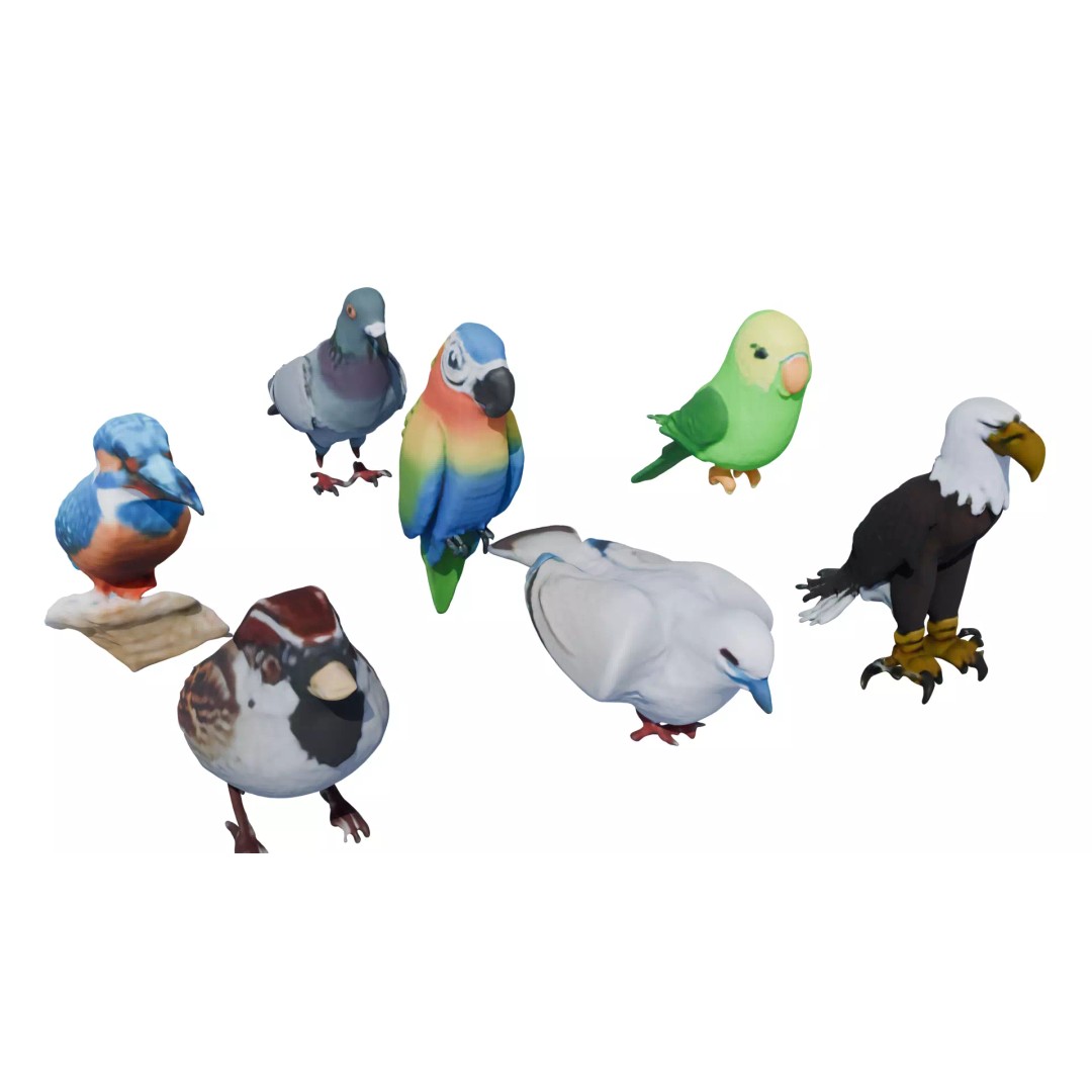 Avian Spectrum Pack 3D Model – High Poly PBR Bird Collection, FBX - View 2