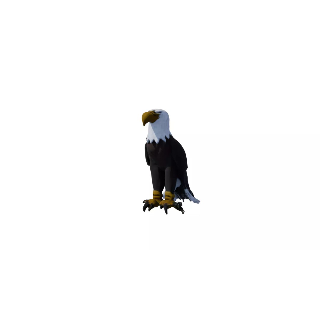Avian Spectrum Pack 3D Model – High Poly PBR Bird Collection, FBX - View 20