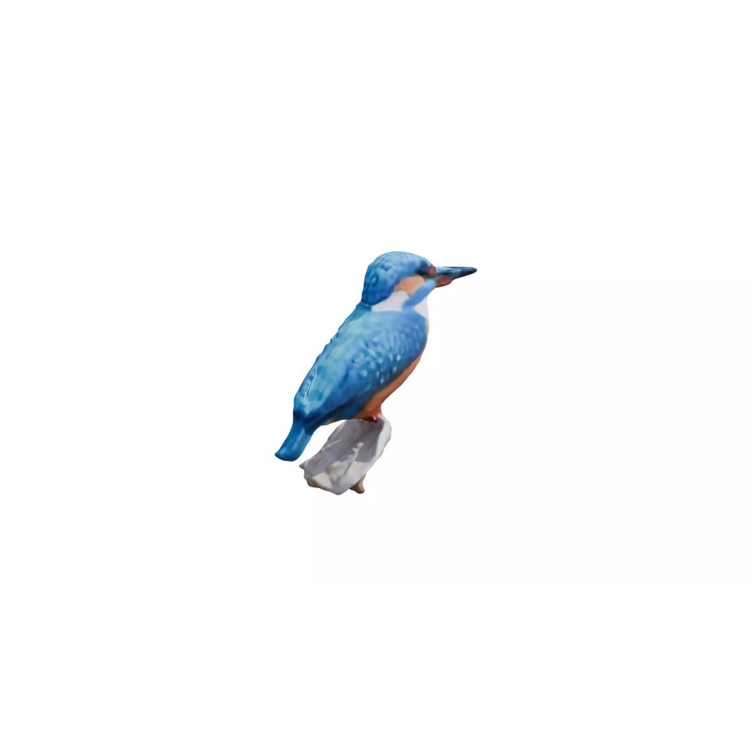 Avian Spectrum Pack 3D Model – High Poly PBR Bird Collection, FBX - View 21