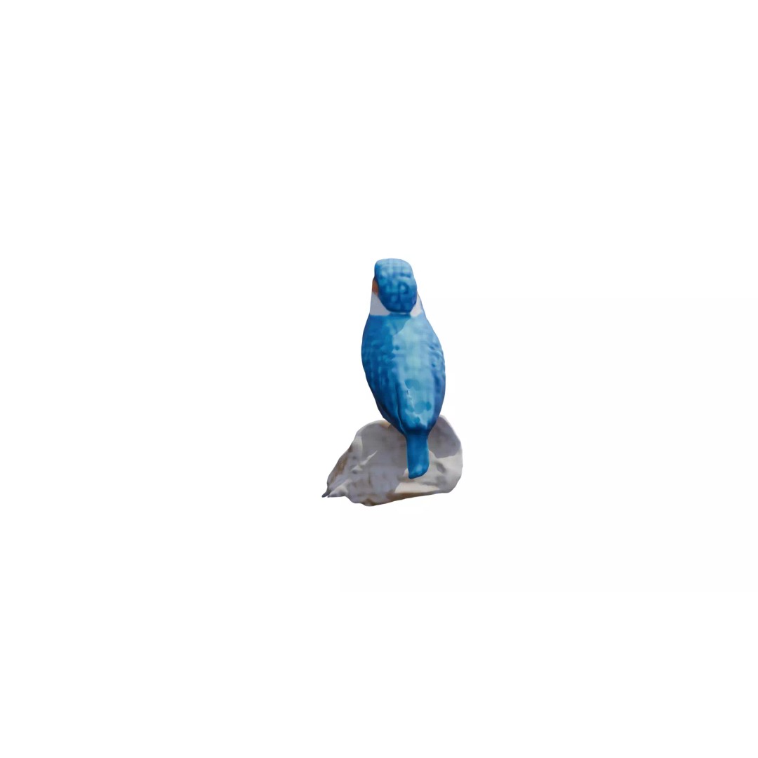 Avian Spectrum Pack 3D Model – High Poly PBR Bird Collection, FBX - View 22