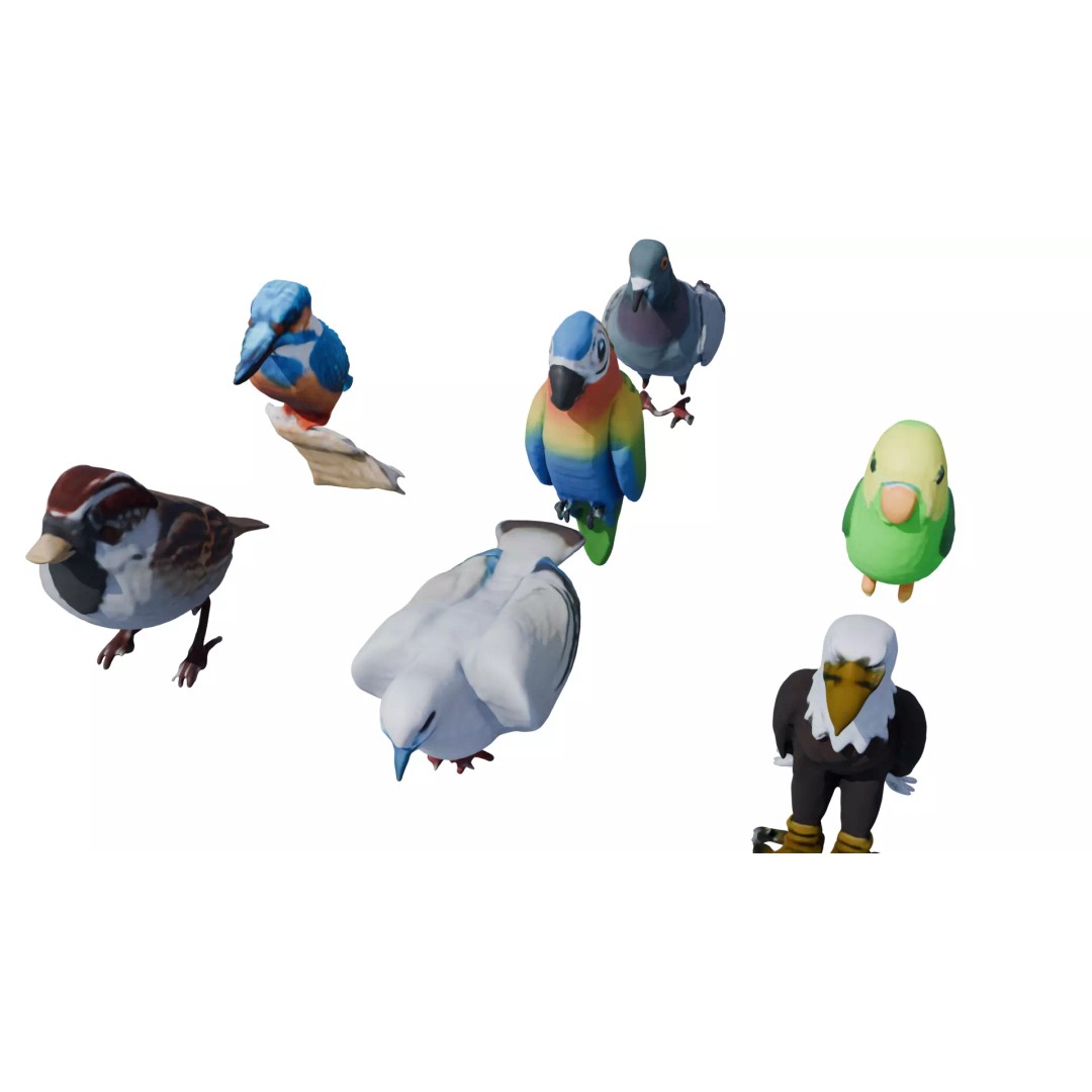 Avian Spectrum Pack 3D Model – High Poly PBR Bird Collection, FBX - View 3