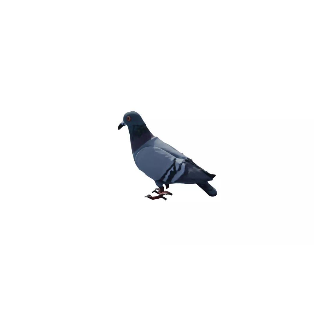 Avian Spectrum Pack 3D Model – High Poly PBR Bird Collection, FBX - View 33