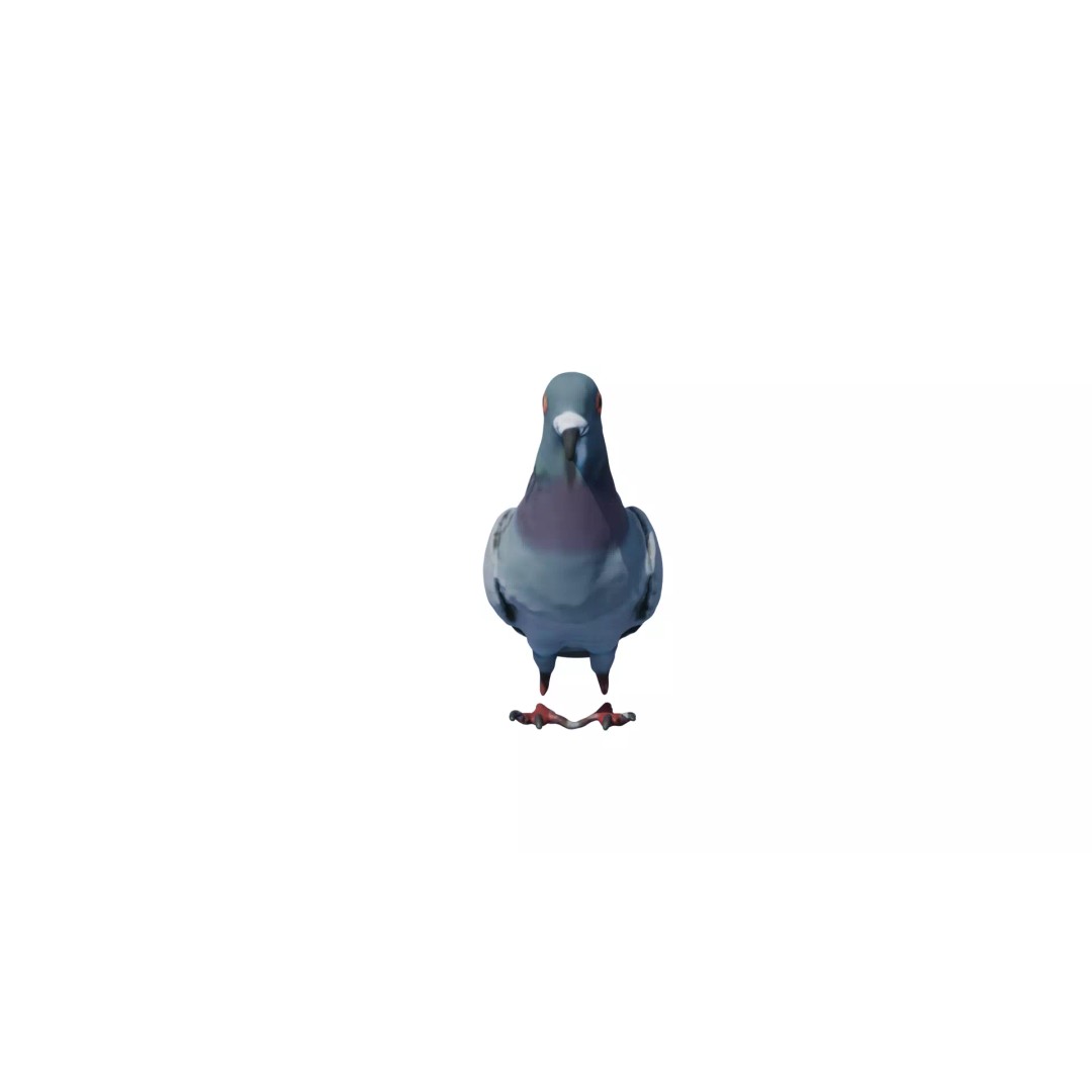 Avian Spectrum Pack 3D Model – High Poly PBR Bird Collection, FBX - View 34