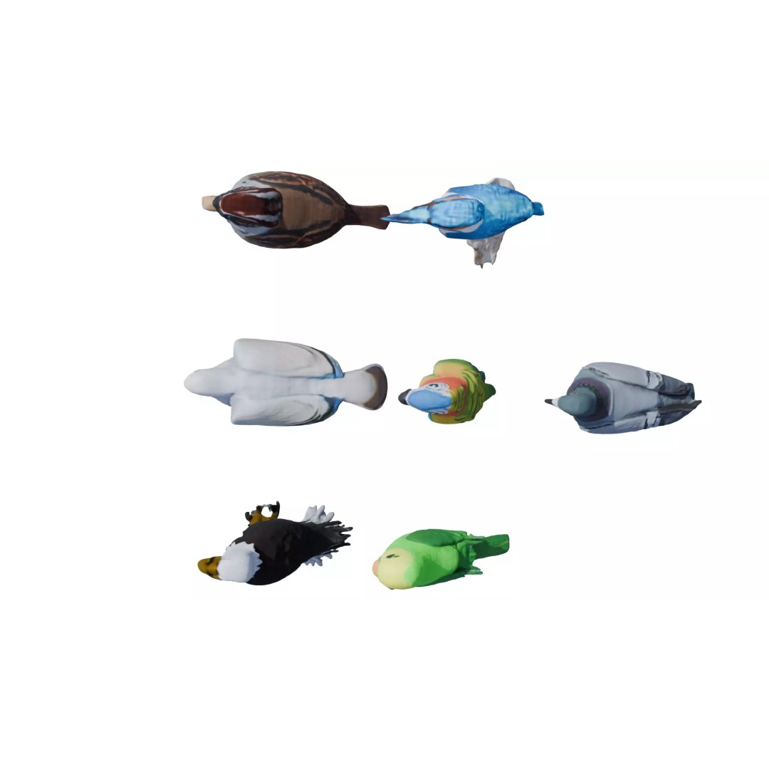 Avian Spectrum Pack 3D Model – High Poly PBR Bird Collection, FBX - View 36