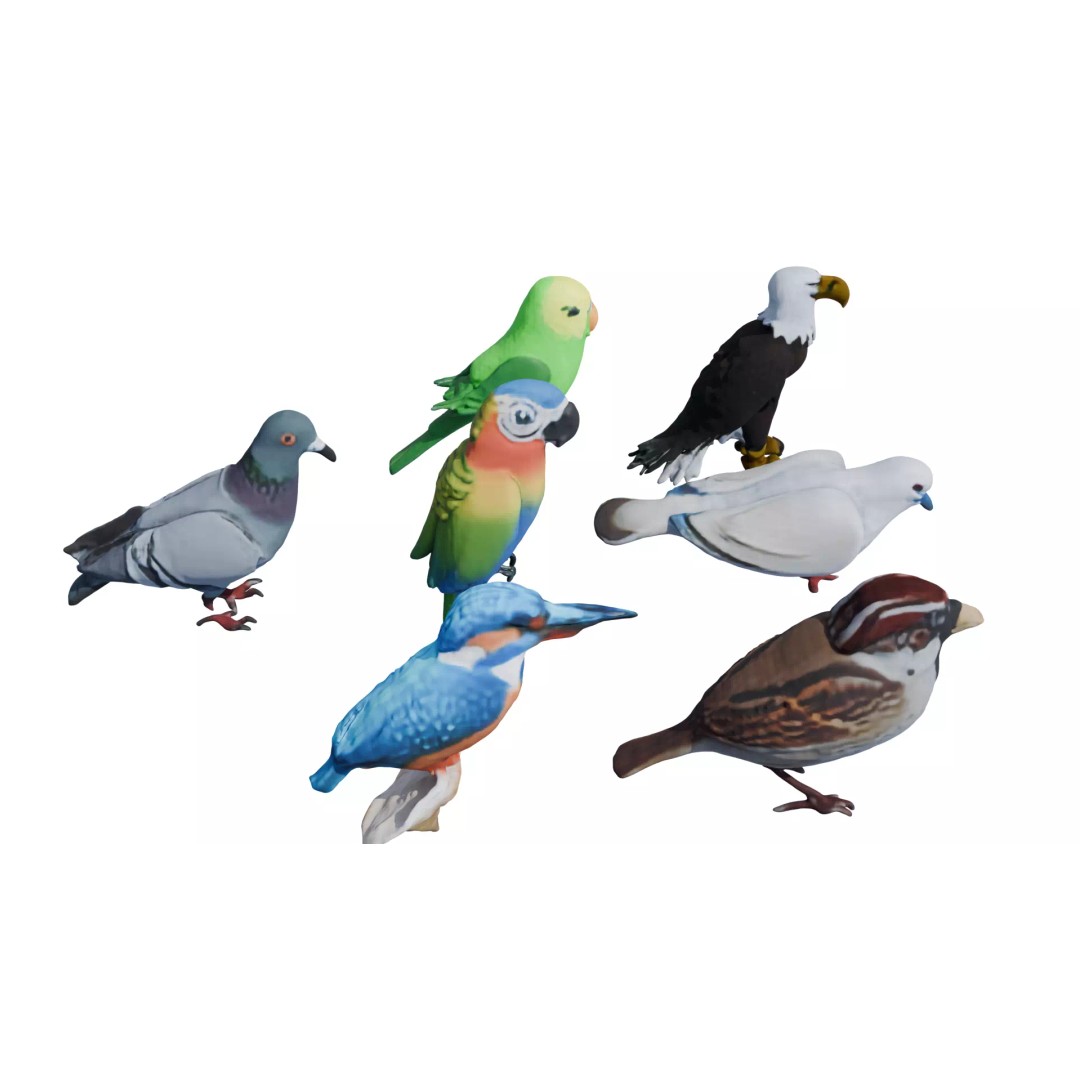Avian Spectrum Pack 3D Model – High Poly PBR Bird Collection, FBX - View 39