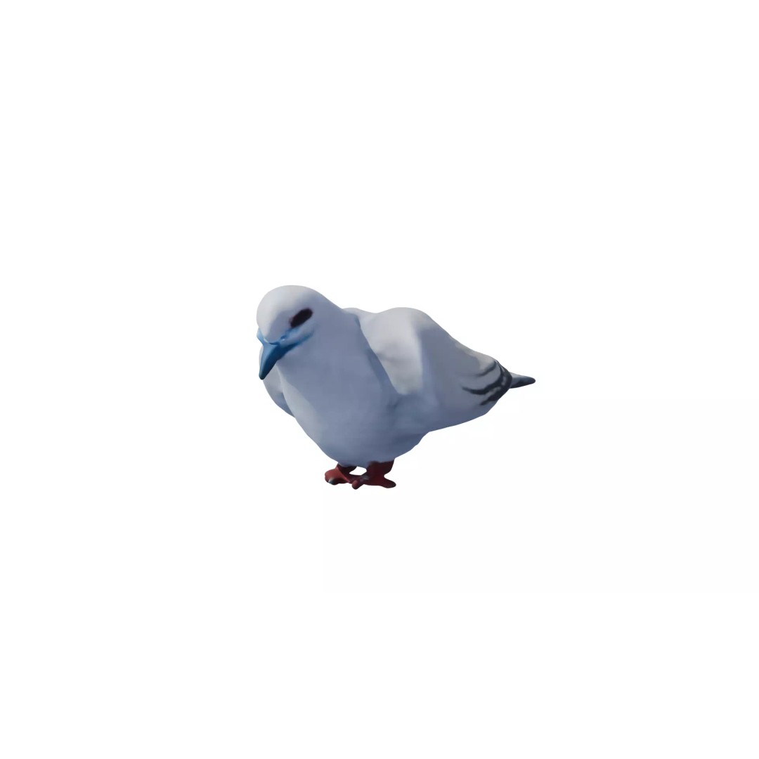 Avian Spectrum Pack 3D Model – High Poly PBR Bird Collection, FBX - View 4