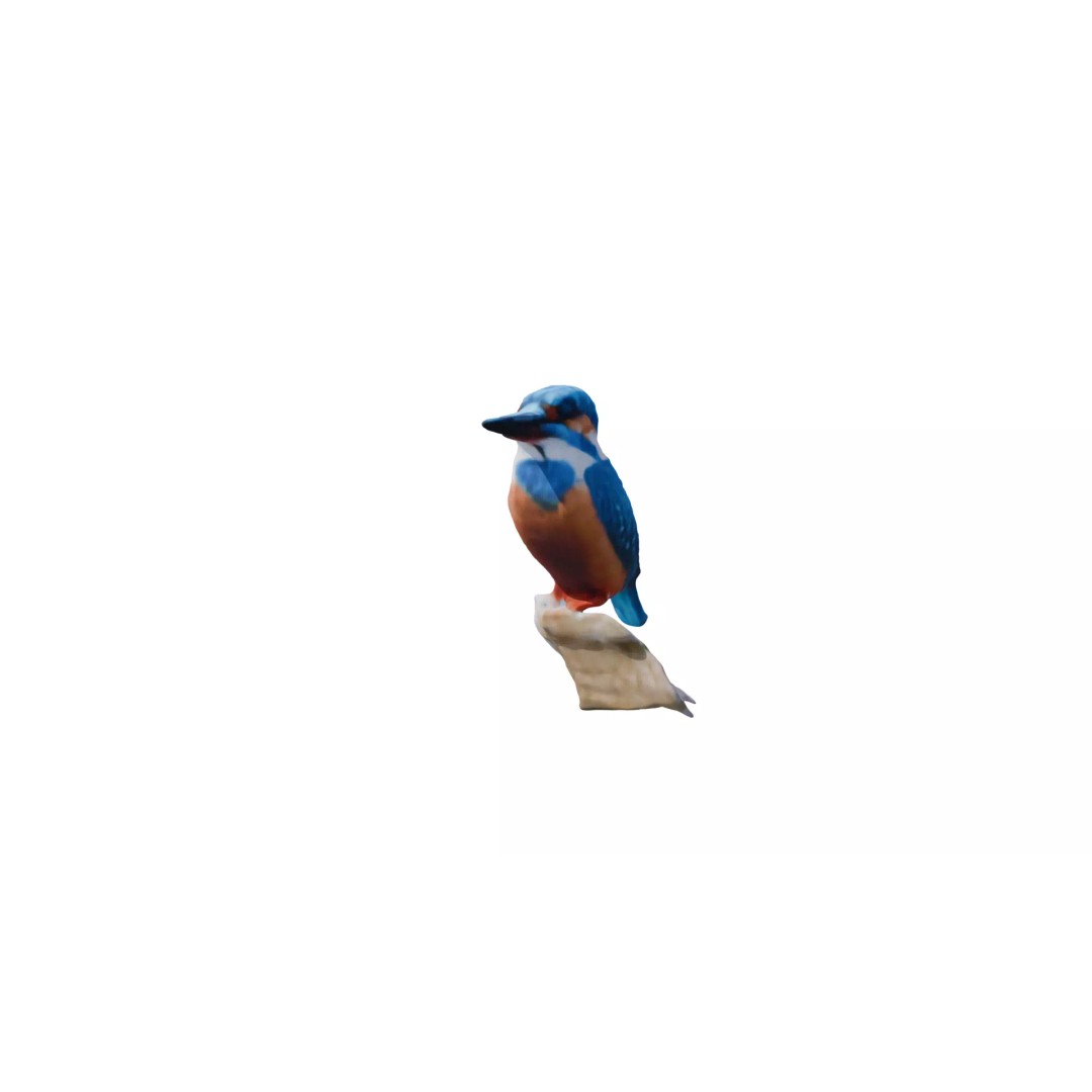 Avian Spectrum Pack 3D Model – High Poly PBR Bird Collection, FBX - View 6