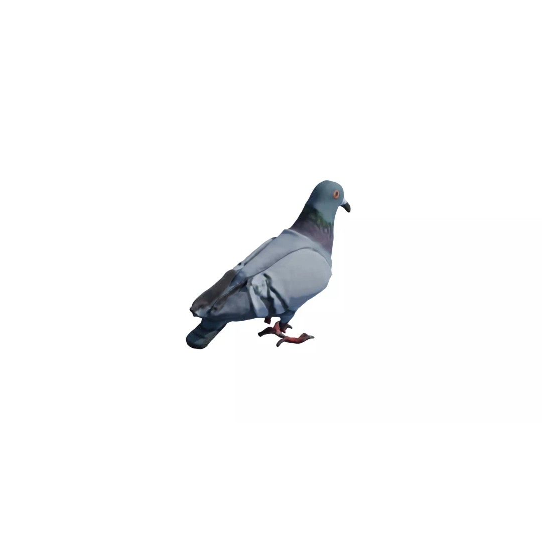 Avian Spectrum Pack 3D Model – High Poly PBR Bird Collection, FBX - View 8