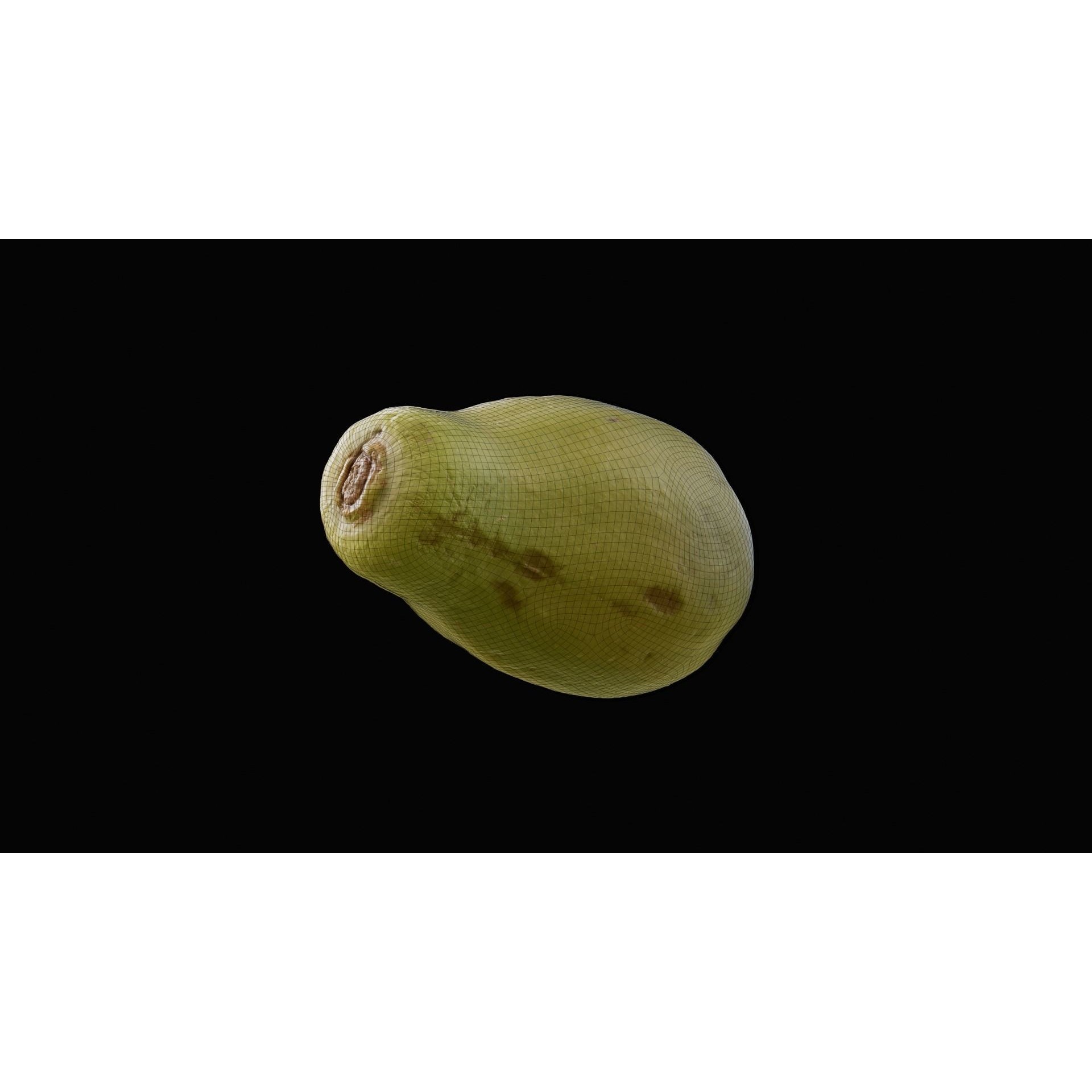 Papaya Fruit - Realistic 3D Model - View 12