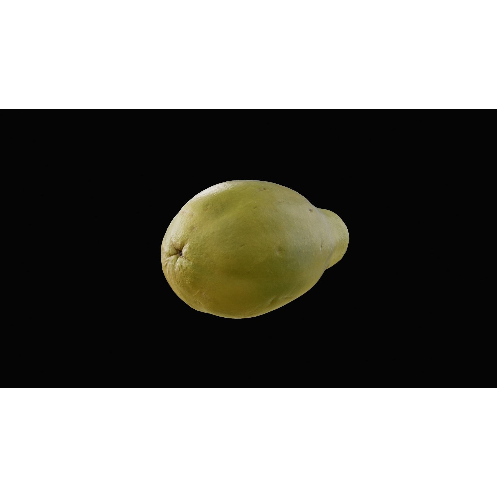 Papaya Fruit - Realistic 3D Model - View 5