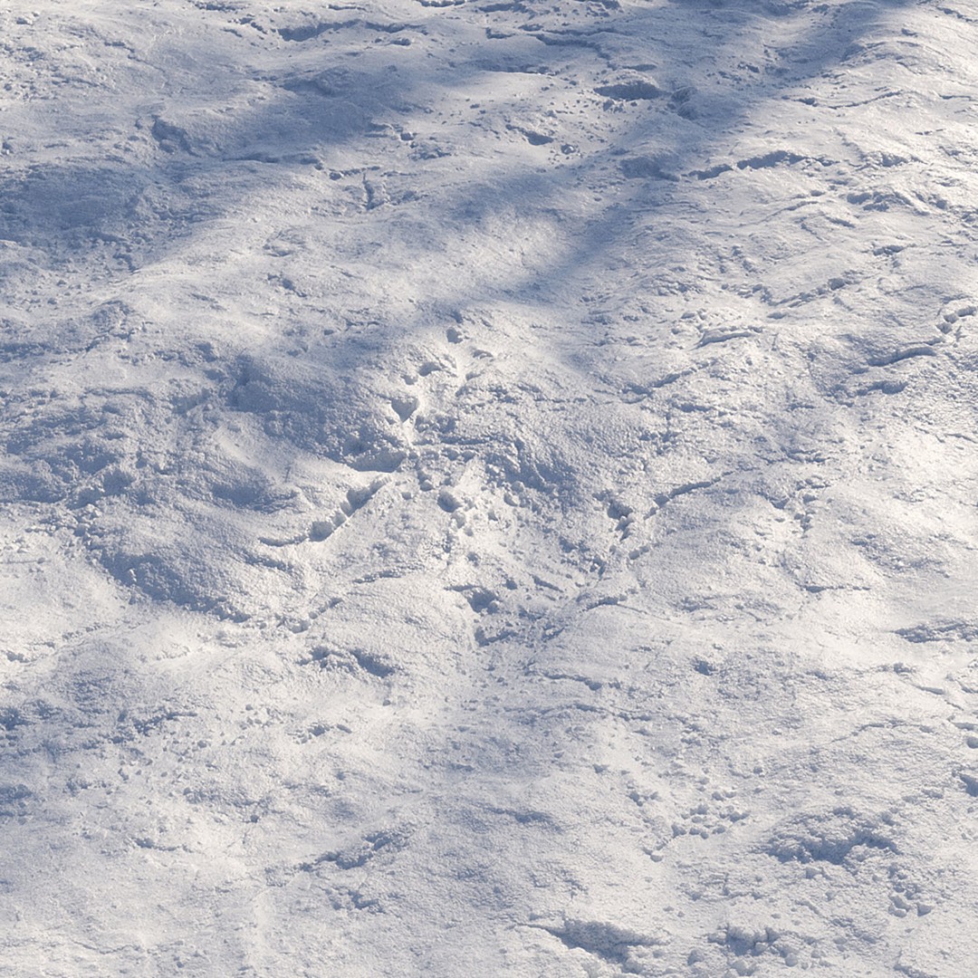 Seamless Snow Materials 3D Model – PBR Textures for Winter Scenes, FBX - View 3