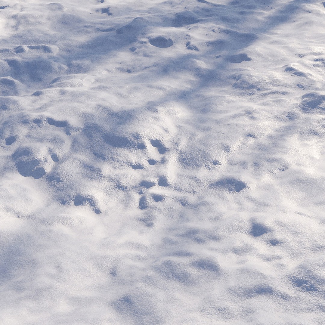 Seamless Snow Materials 3D Model – PBR Textures for Winter Scenes, FBX - View 4