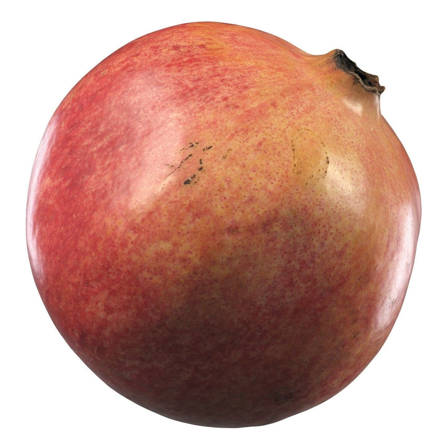 4k Scanned Pomegranate - Game-Ready 3D Model - View 11