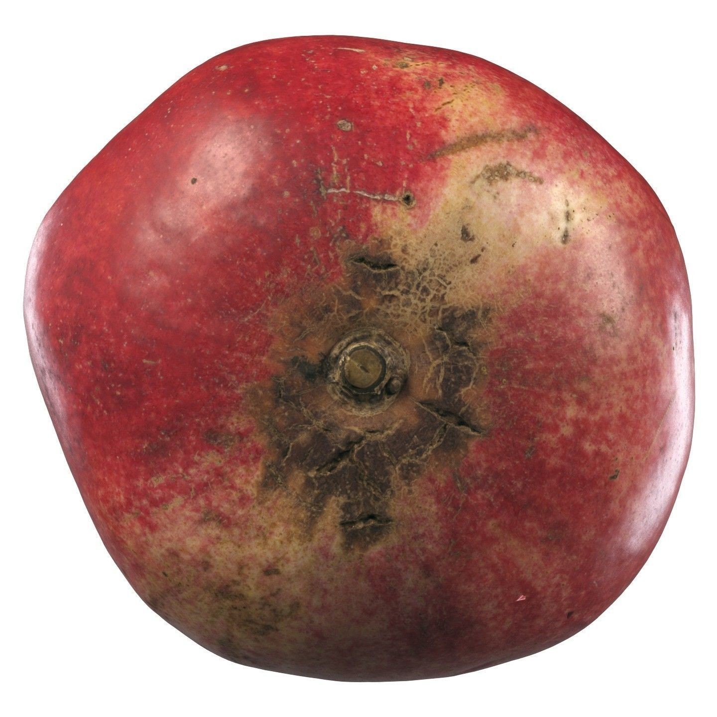 4k Scanned Pomegranate - Game-Ready 3D Model - View 12